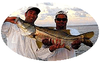 A small Snook - An example of an average day's catch!
